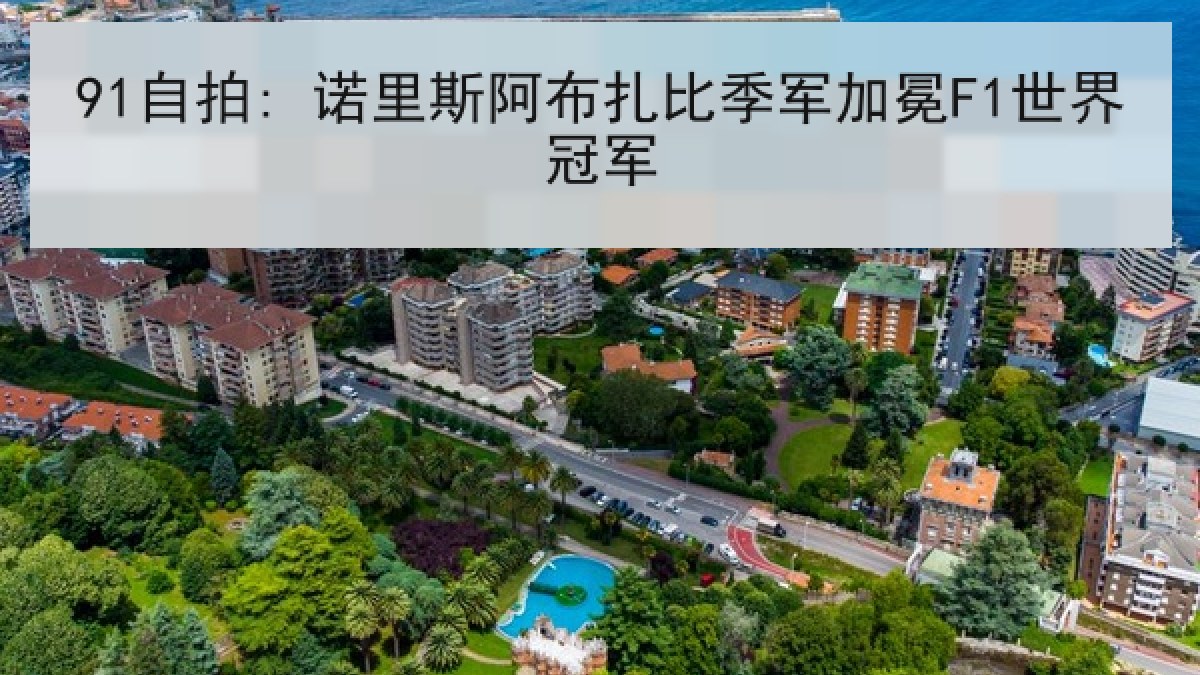 91自拍: 诺里斯阿布扎比季军加冕F1世界冠军