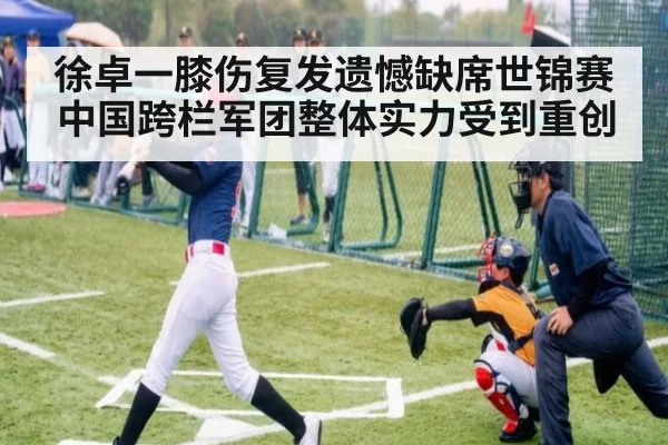 徐卓一膝伤复发遗憾缺席世锦赛 中国跨栏军团整体实力受到重创