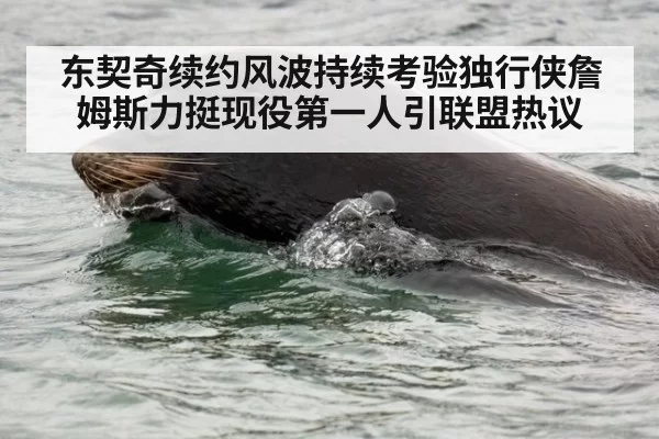 东契奇续约风波持续考验独行侠詹姆斯力挺现役第一人引联盟热议